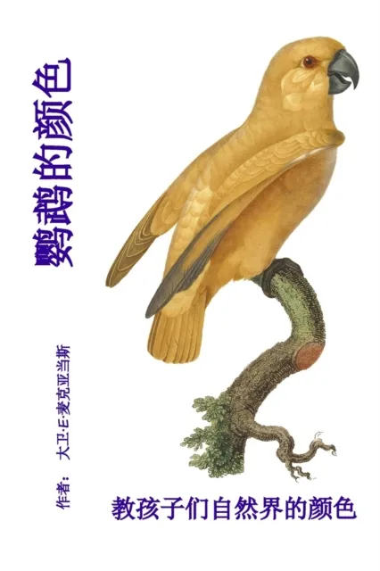 鹦鹉的颜色