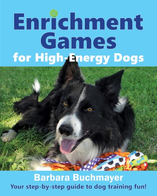 Enrichment Games for High-Energy Dogs