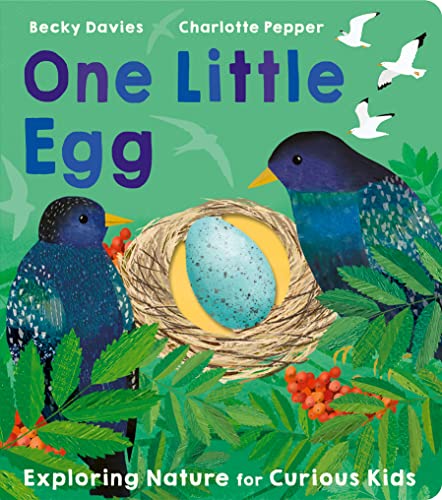 One Little Egg : Exploring Nature for Curious Kids