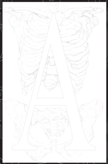 Globalboho AOLAB Agenda