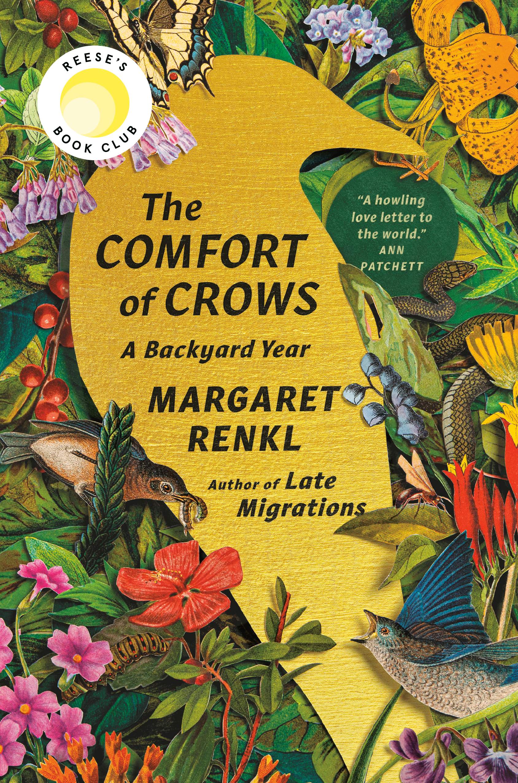 The Comfort of Crows : A Backyard Year