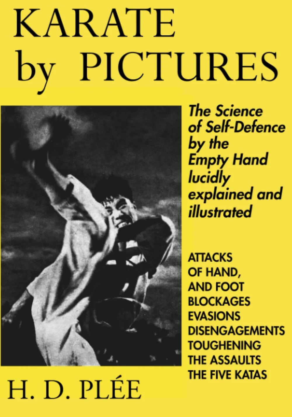 Karate by Pictures