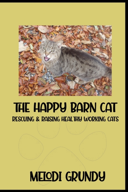 The Happy Barn Cat
