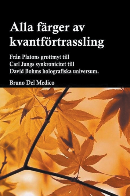 Alla farger av kvantfortrassling. Fran Platons grottmyt till Carl Jungs synkronicitet till David Bohms holografiska universum.