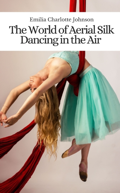 The World of Aerial Silk