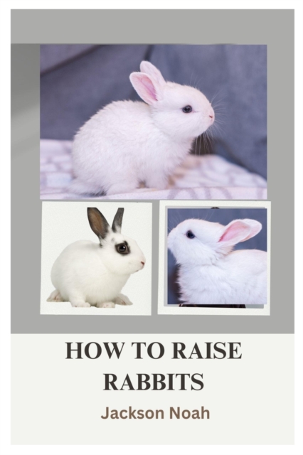 How to Raise Rabbits