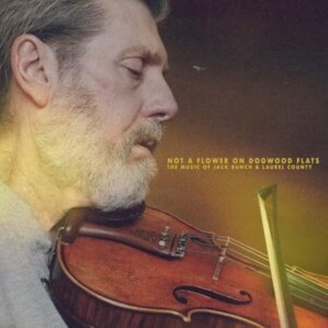 Not a Flower On Dogwood Flats