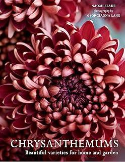 Chrysanthemums : Beautiful Varieties for Home and Garden