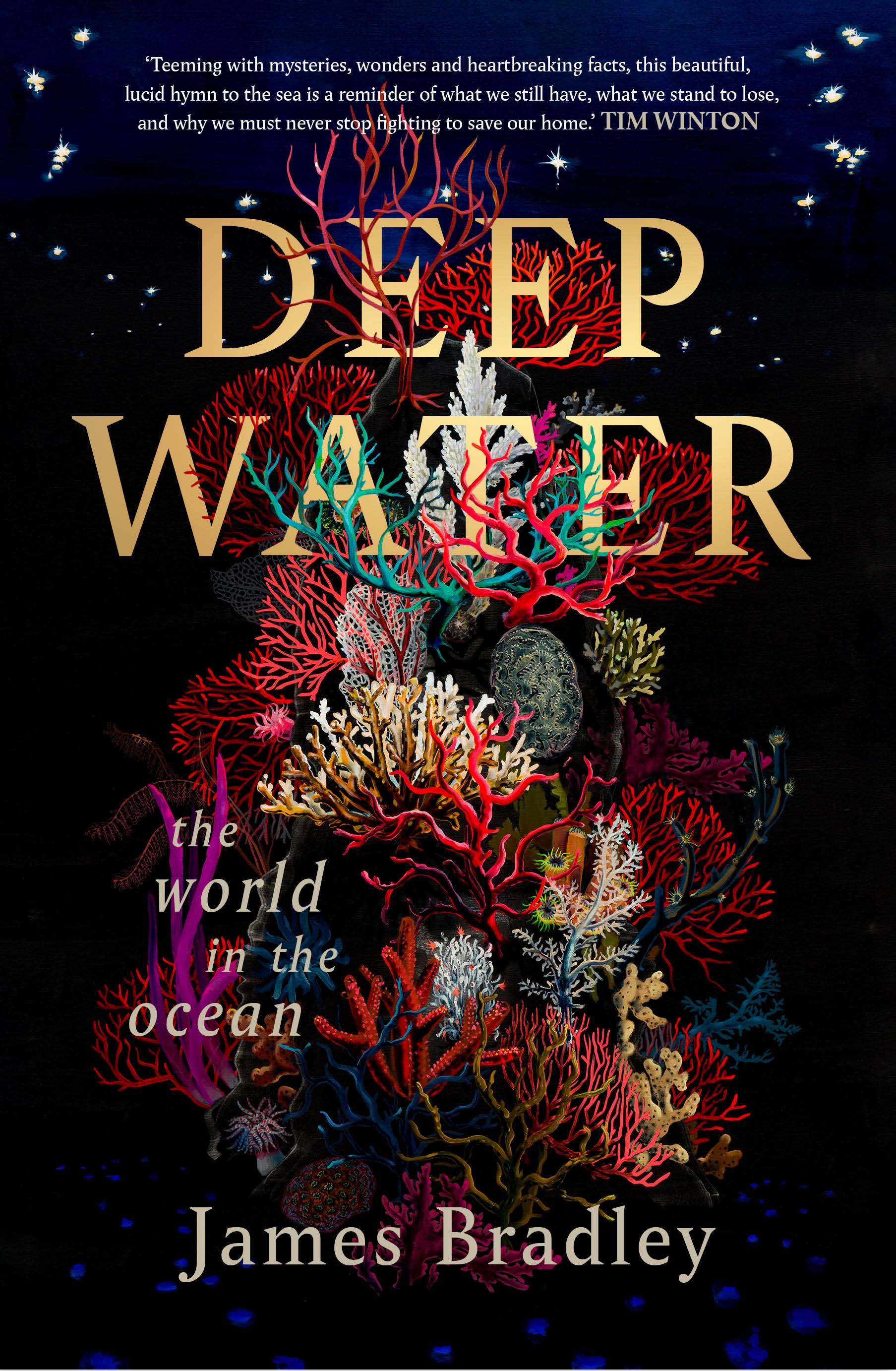 Deep Water : The World in the Ocean