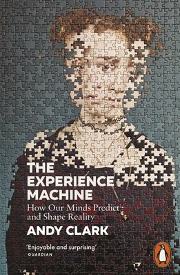 The Experience Machine : How Our Minds Predict and Shape Reality