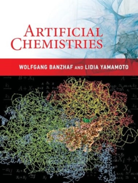 Artificial Chemistries