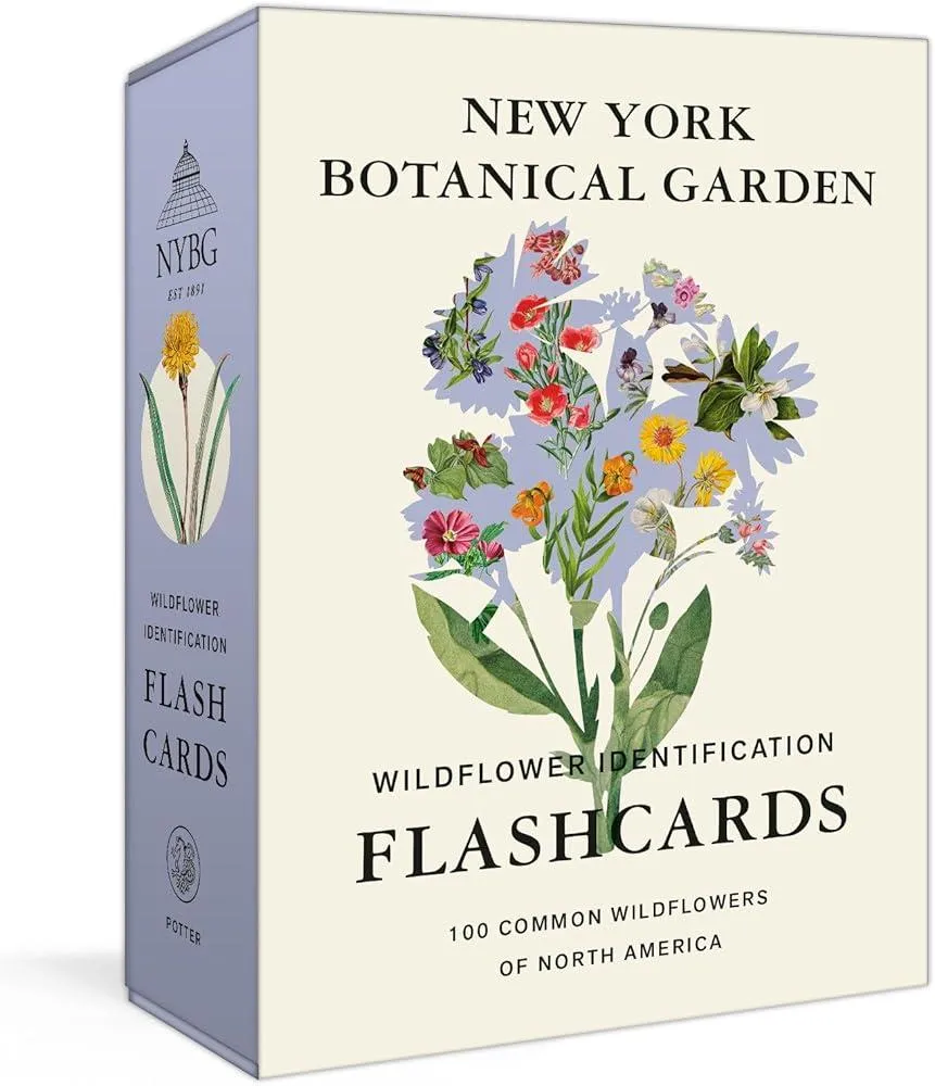 New York Botanical Garden Wildflower Identification Flashcards : 100 Common Wildflowers of North America