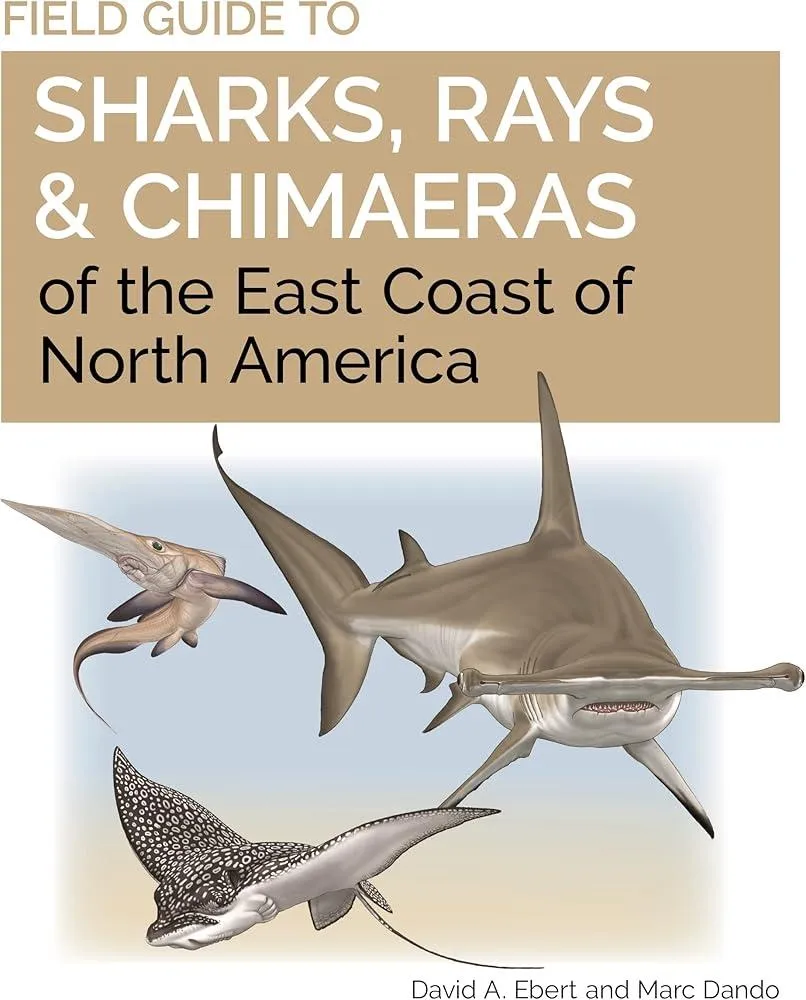 Field Guide to Sharks, Rays and Chimaeras of the East Coast of North America