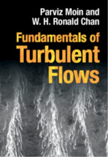 Fundamentals of Turbulent Flows