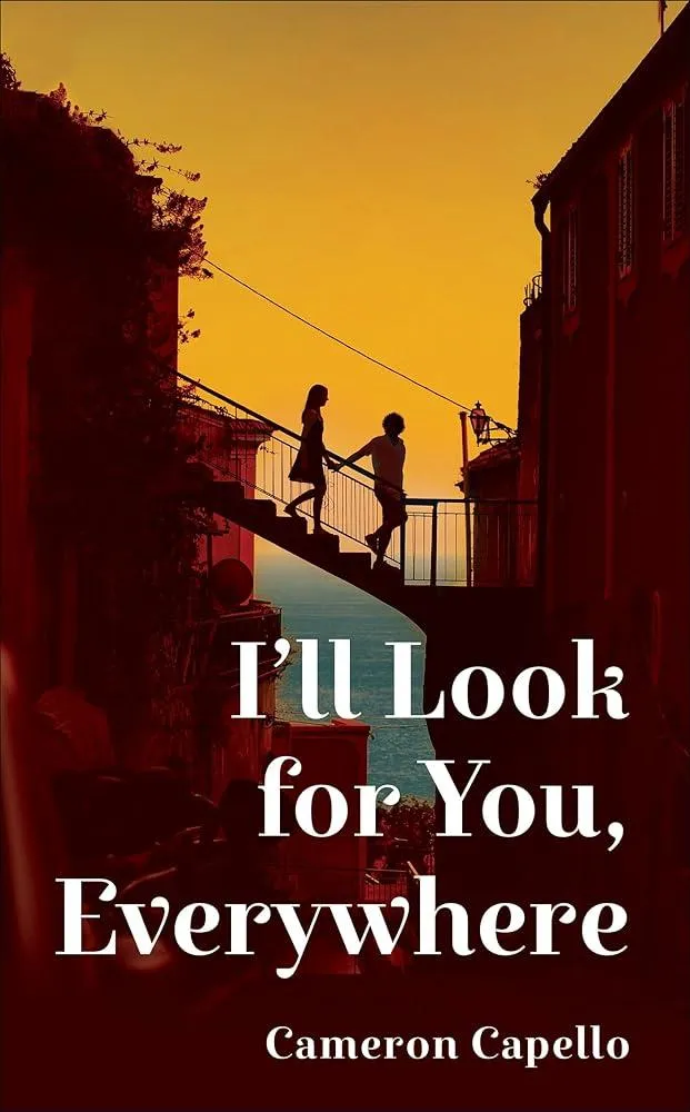 I'll Look for You, Everywhere : the highly anticipated and mesmerizing debut romance novel of summer 2024