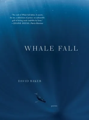 Whale Fall