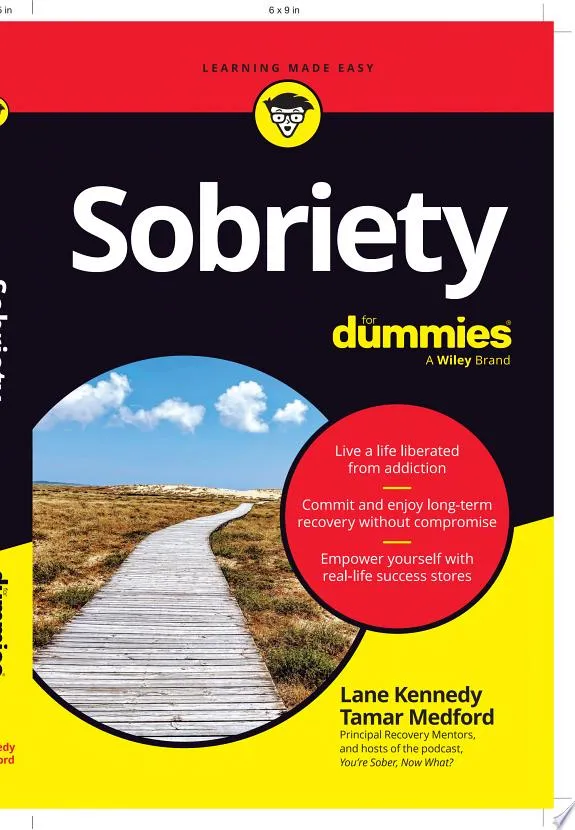 Sobriety For Dummies