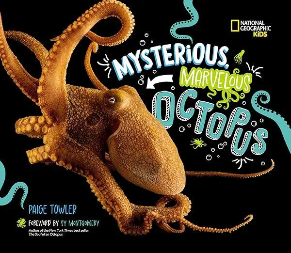 Mysterious, Marvelous Octopus!