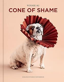 Cone of Shame