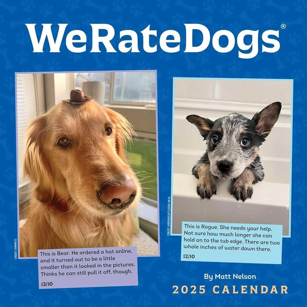 WeRateDogs 2025 Wall Calendar