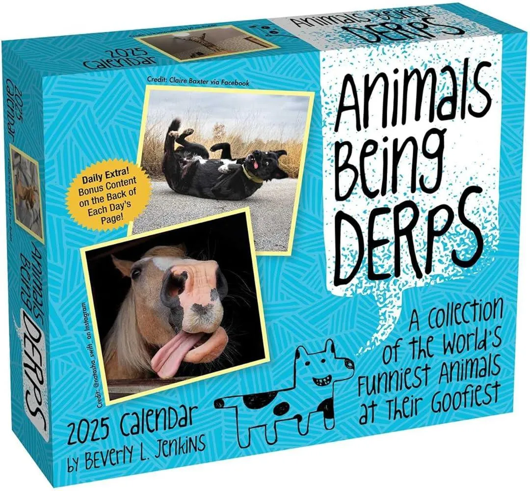 Animals Being Derps 2025 Day-to-Day Calendar