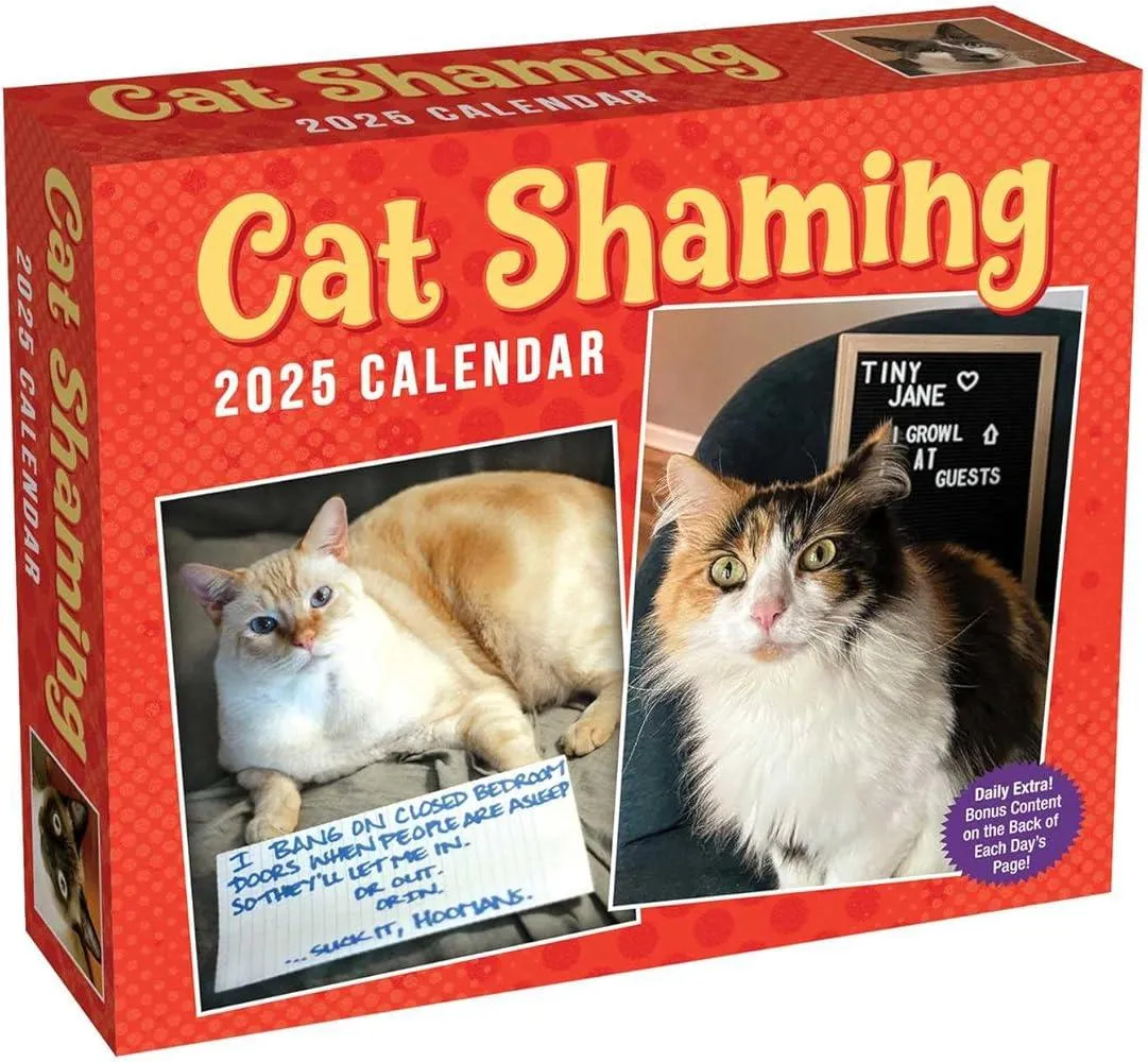 Cat Shaming 2025 Day-to-Day Calendar