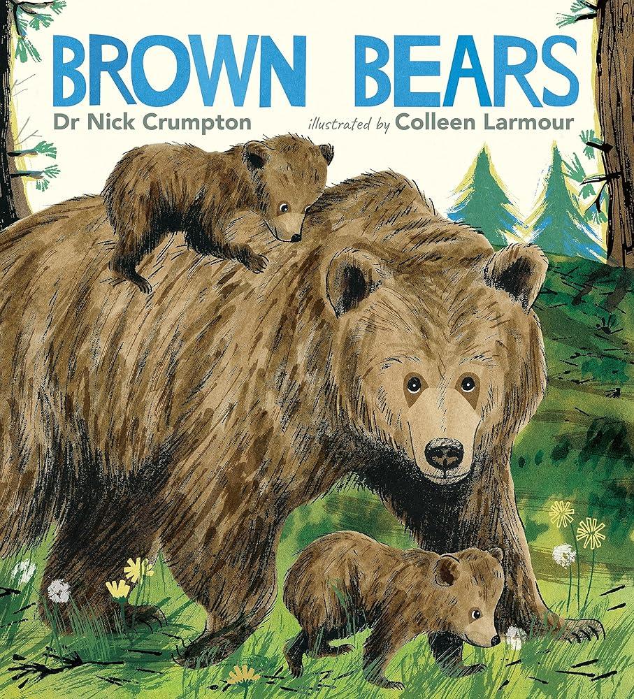 Brown Bears