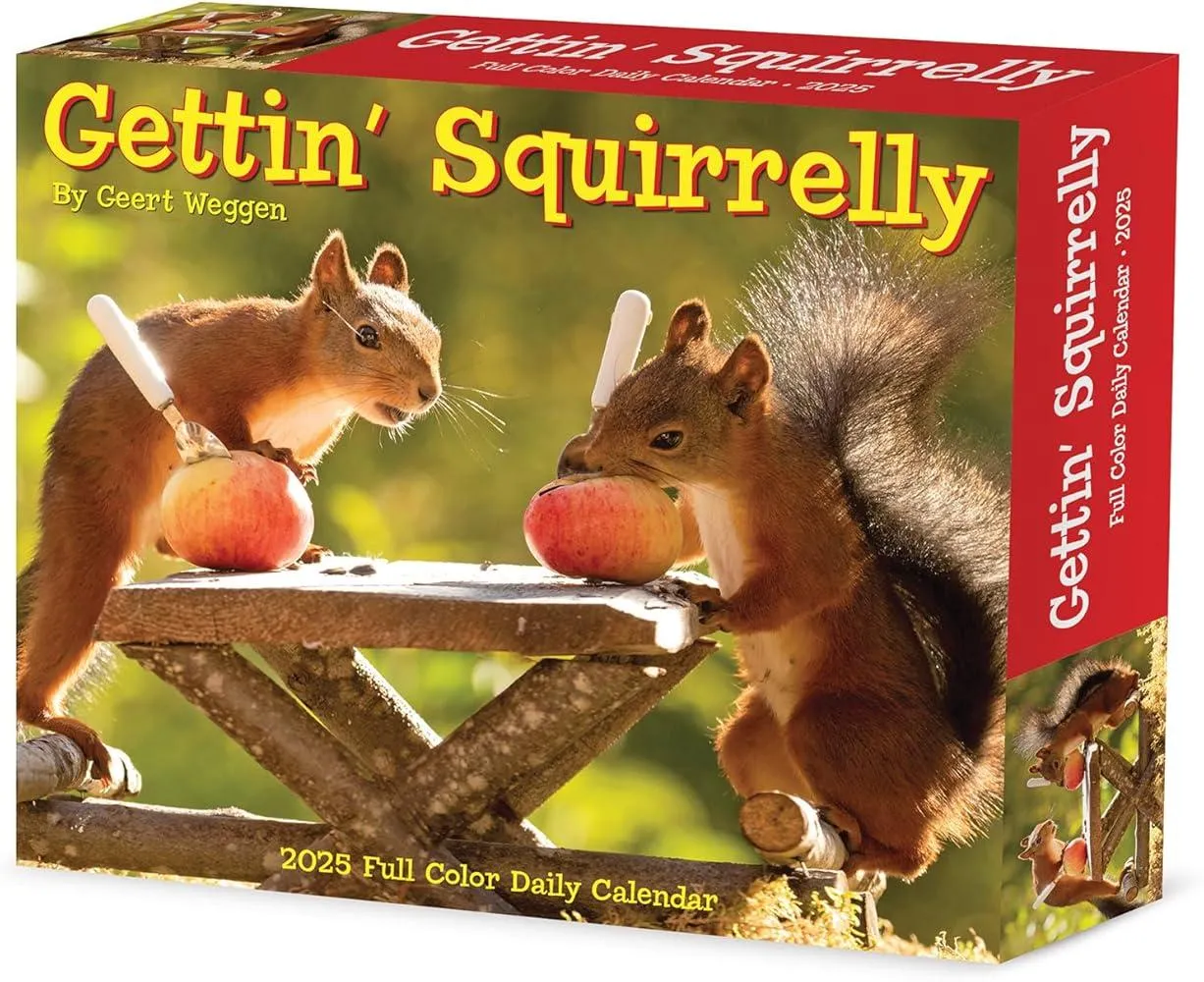 Gettin' Squirrelly 2025 6.2 X 5.4 Box Calendar