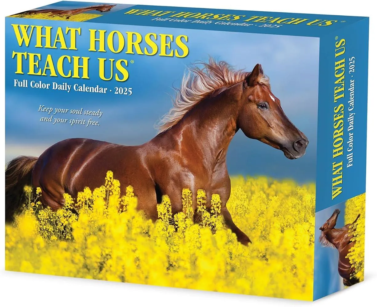 What Horses Teach Us 2025 6.2 X 5.4 Box Calendar