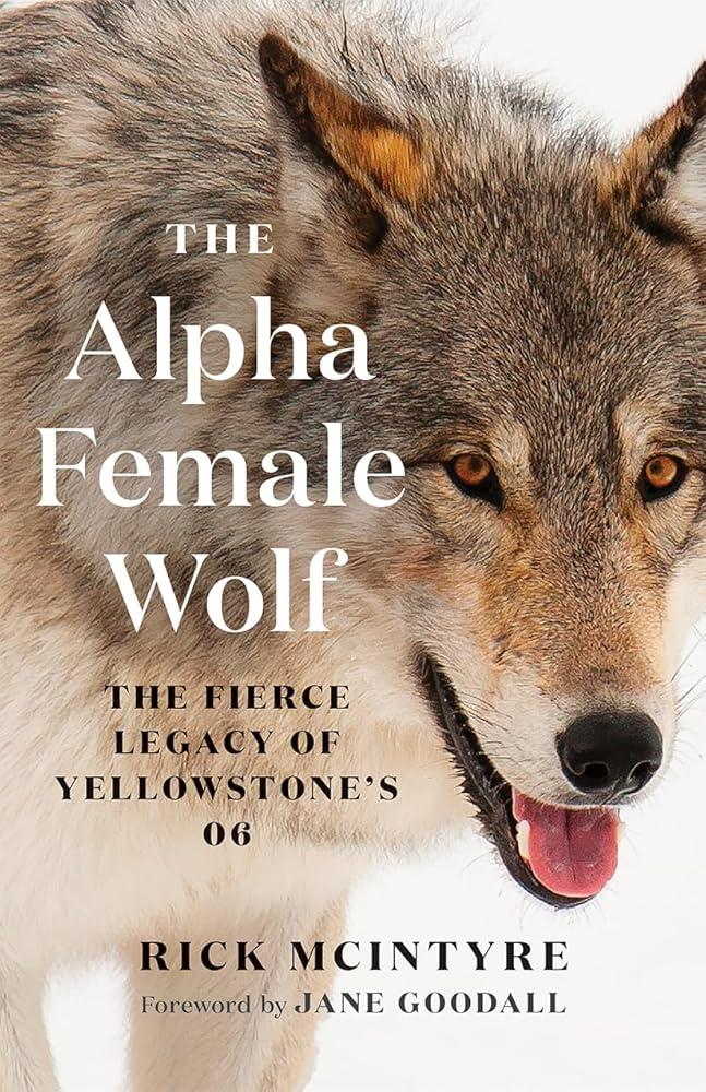 The Alpha Female Wolf : The Fierce Legacy of Yellowstone's 06