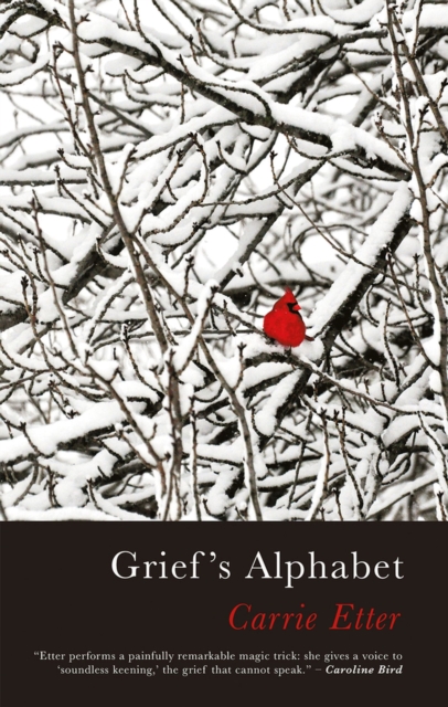 Grief’s Alphabet