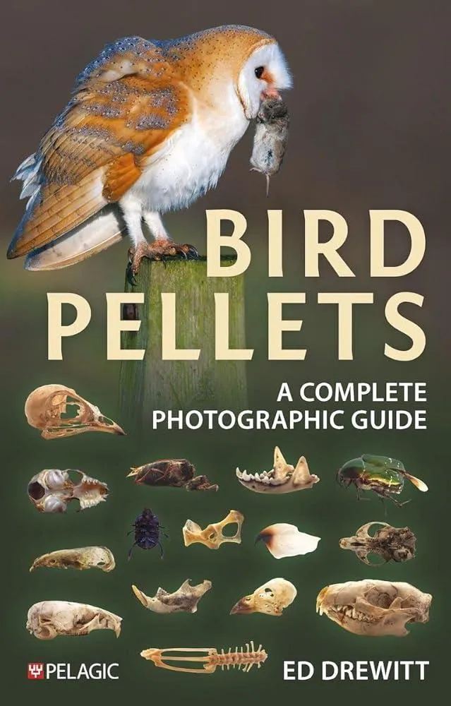 Bird Pellets : A Complete Photographic Guide