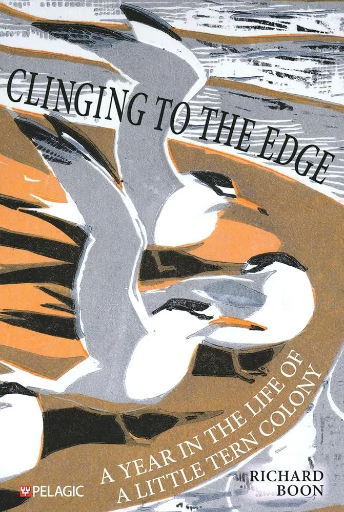 Clinging to the Edge : A Year in the Life of a Little Tern Colony