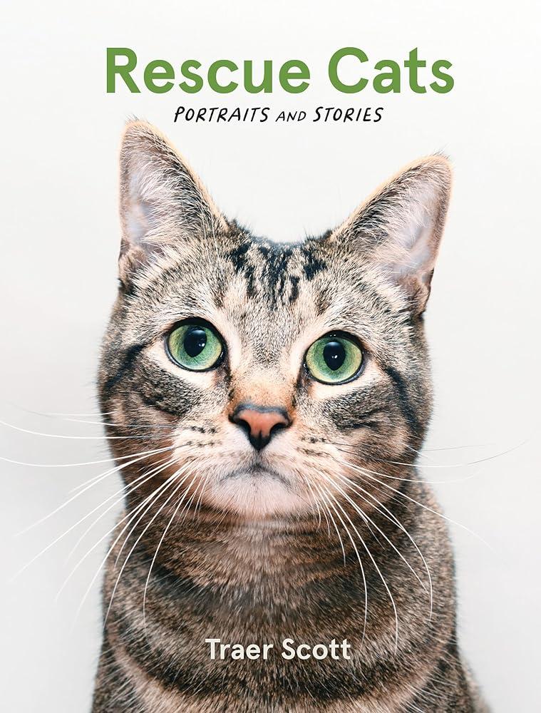 Rescue Cats : Portraits and Stories