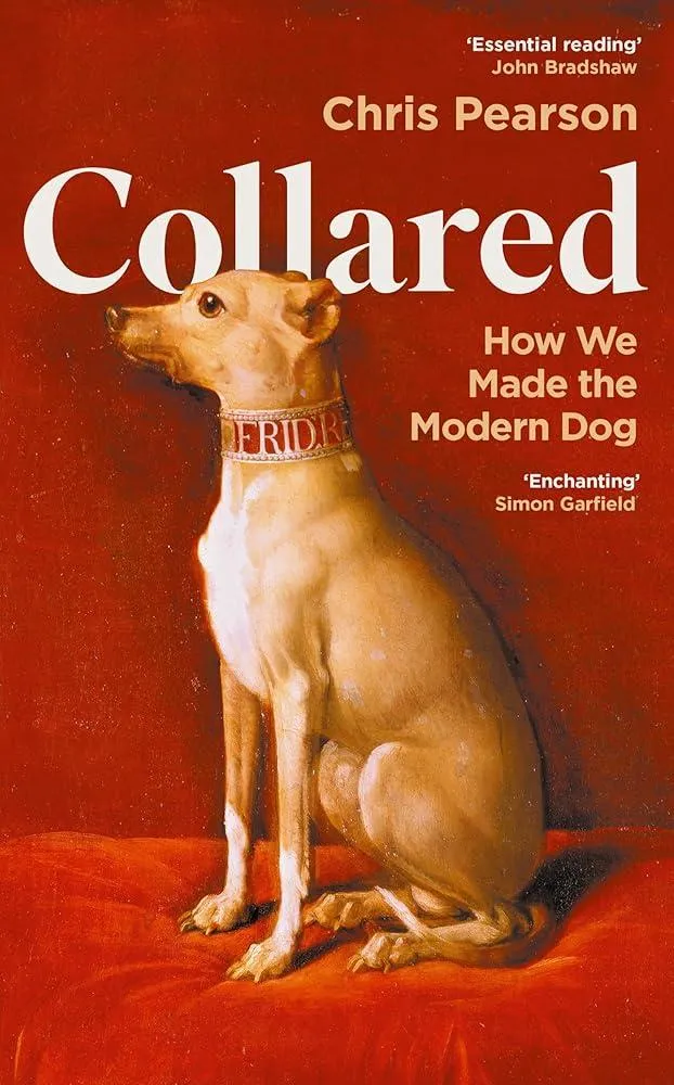 Collared : How We Made the Modern Dog