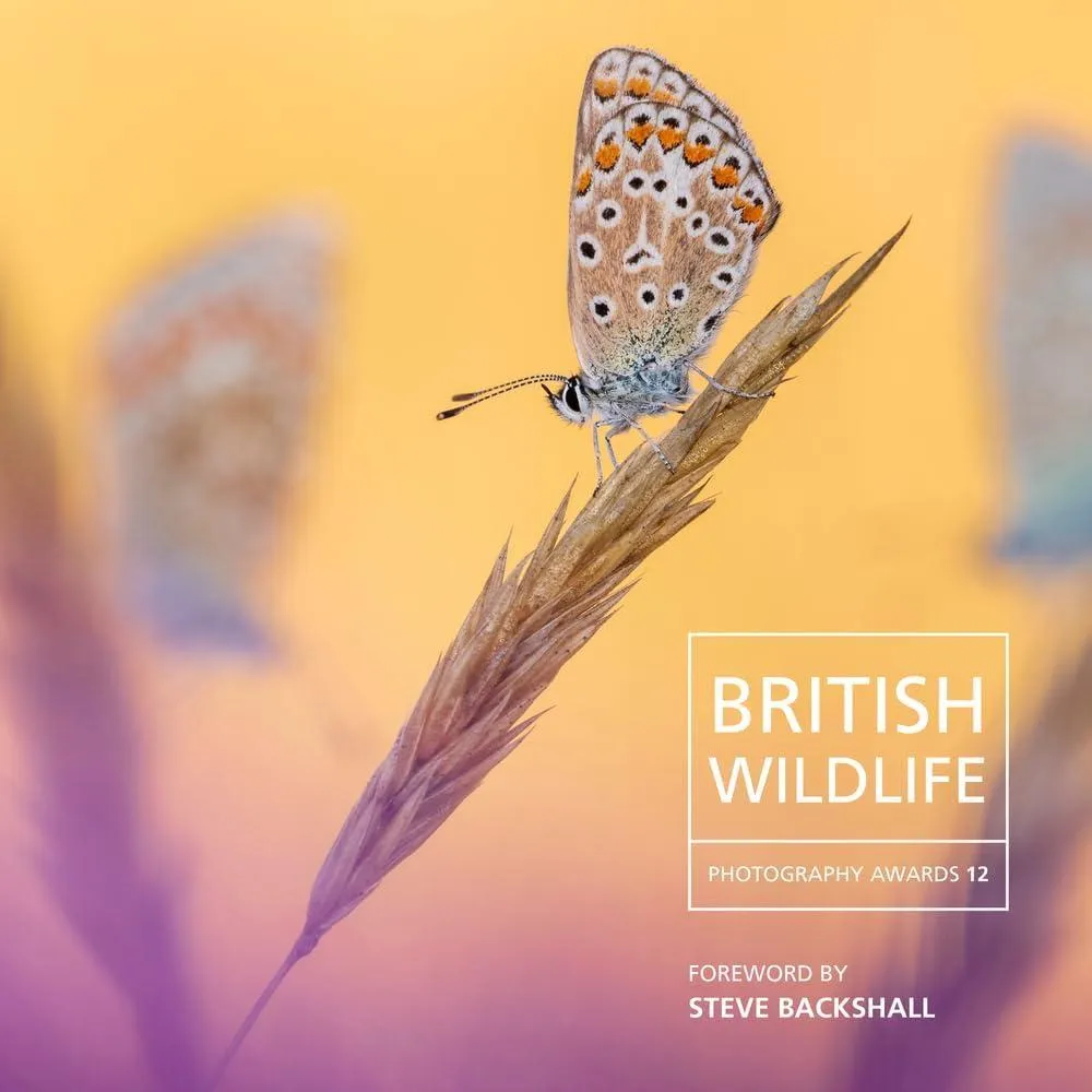 British Wildlife Photography Awards 12