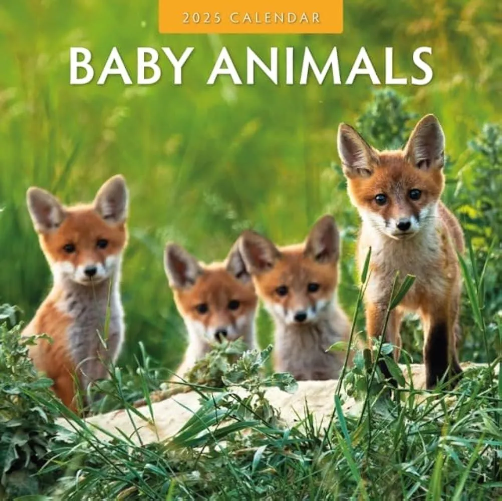 Baby Animals 2025 Square Wall Calendar