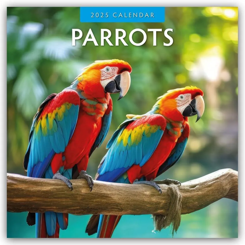 Parrots 2025 Square Wall Calendar