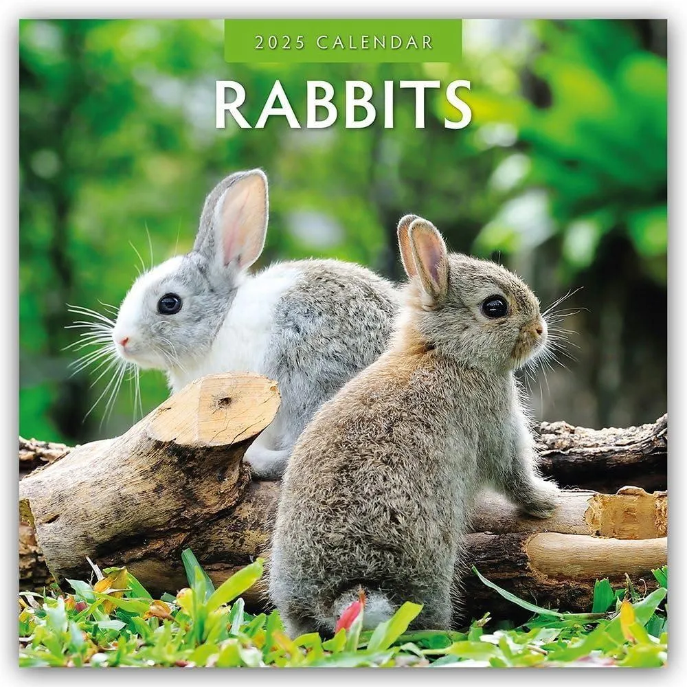 Rabbits 2025 Square Wall Calendar