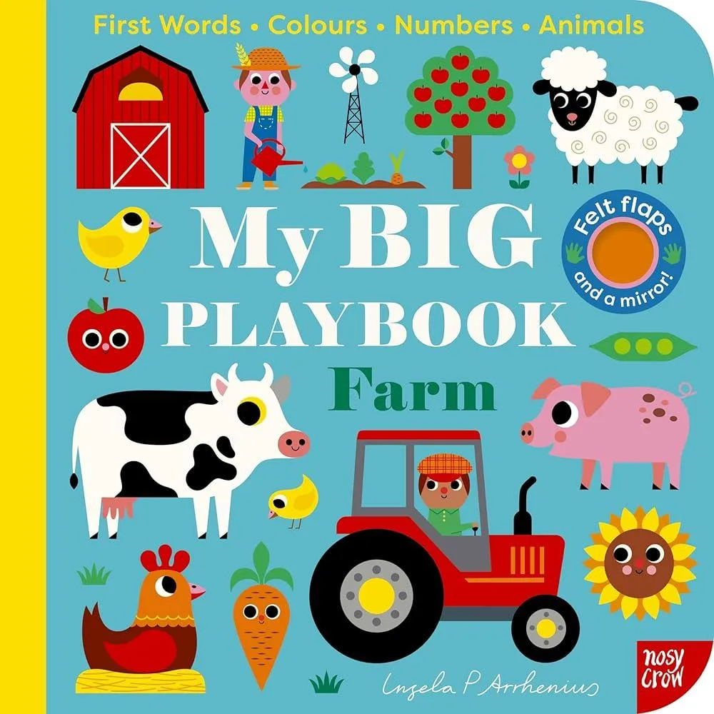 My BIG Playbook