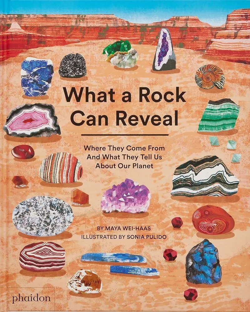 What a Rock Can Reveal : Where They Come From And What They Tell Us About Our Planet