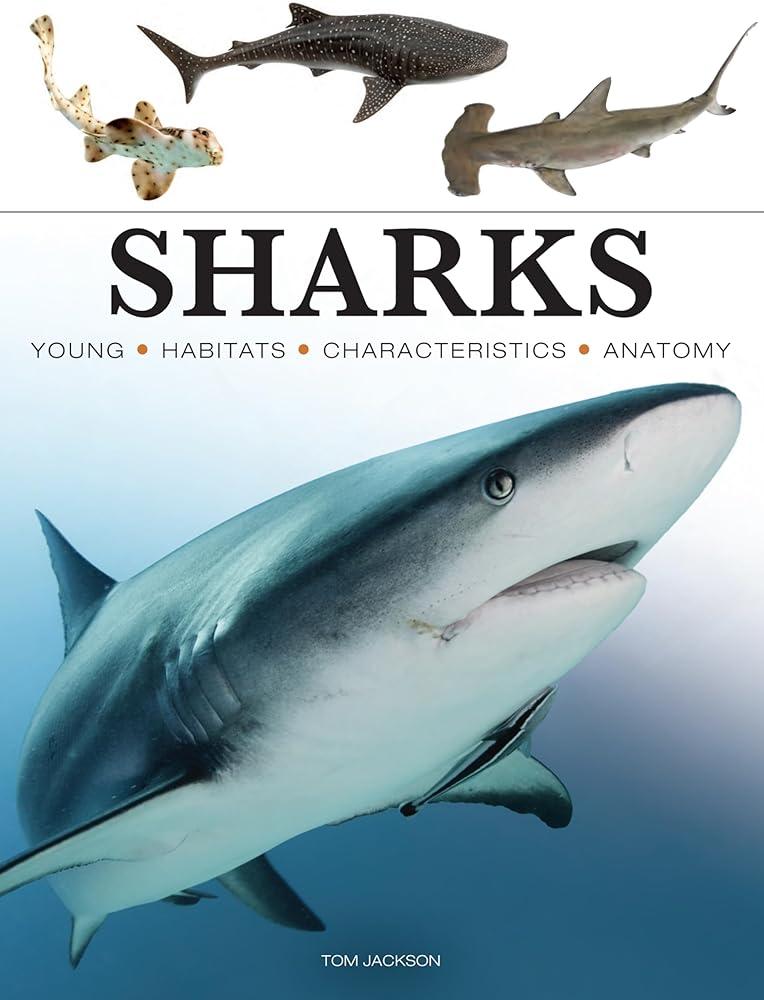 Sharks & Underwater Predators