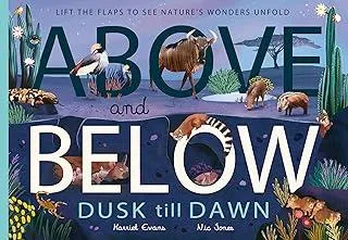 Above and Below: Dusk till Dawn : Lift the flaps to see nature's wonders unfold