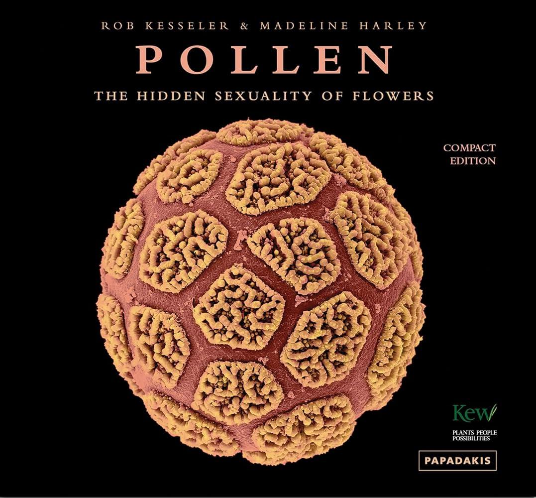 Pollen : The Hidden Sexuality of Flowers