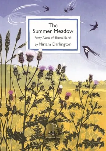The Summer Meadow