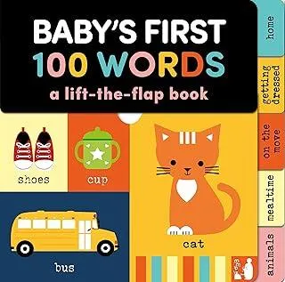 Baby's First 100 Words : A lift the flap book