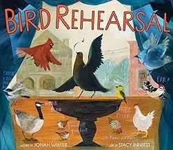 Bird Rehearsal : A Picture Book