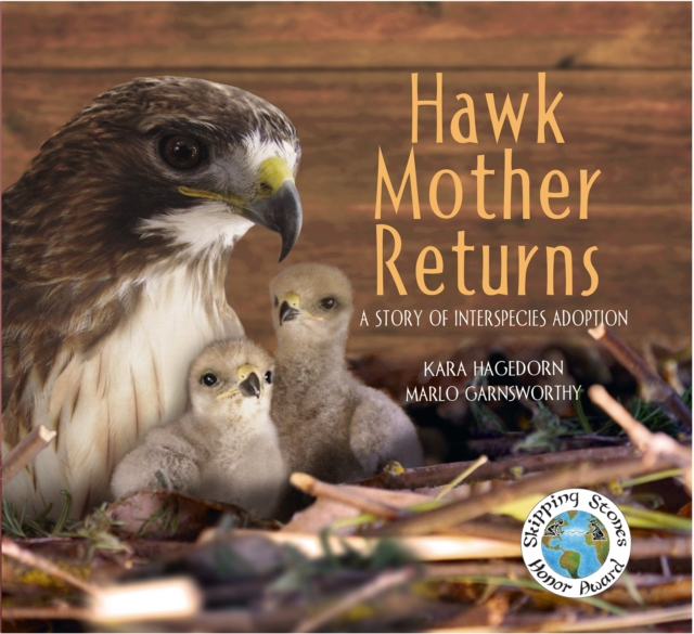 Hawk Mother Returns