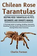 Chilean Rose Tarantulas