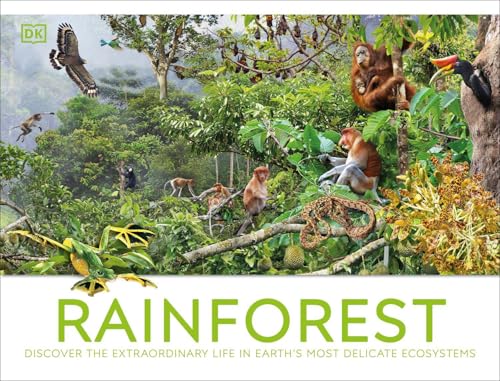 Rainforest